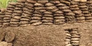 Organic Fertilizer And Manure