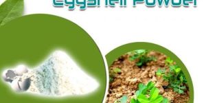 Naturcal White Eggshell Powder