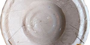 Plain White 5 Inch Disposable Paper Bowl