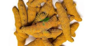 Dehydrated Turmeric Finger