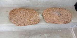 Brown Cow Dung Cake