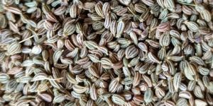 Carom Seeds