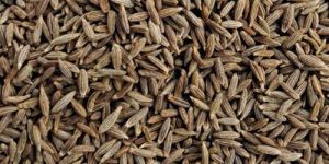 Cumin Seeds