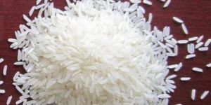 ir64 Rice