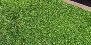 Artificial Grass Carpets