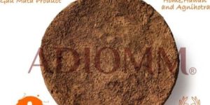 Cow Dung Uple