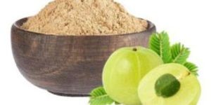 Treezen Organic Amla Powder
