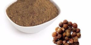 Treezen Organic Aritha Powder