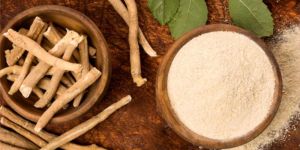 Treezen Organic Ashwagandha Powder