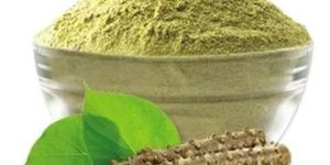 Treezen Organic Giloy Powder