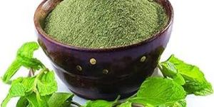 Treezen Organic Mint Leaves Powder