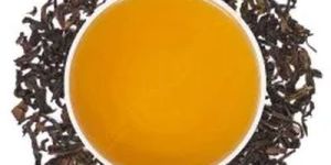 Treezen Organic Oolong Tea