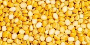 Treezen Yellow Organic Chana Dal