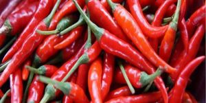 Red Chilli