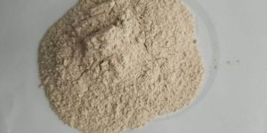 Onion Powder