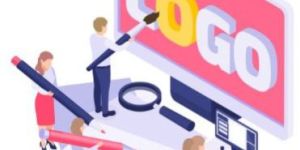 Professional Logo Designing Service