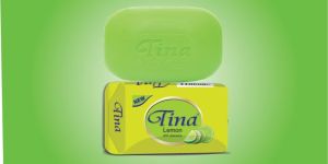 tina 100g grade-3 bath soap