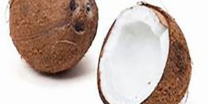 Coconut