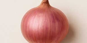 Medium Red Onion