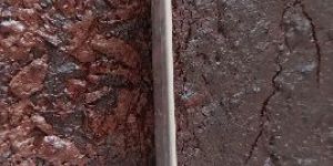 Chocolate Brownie