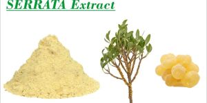 Boswellia Serrata Extract