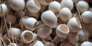 Bell Cup Wooden Beads
