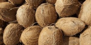 Coconut