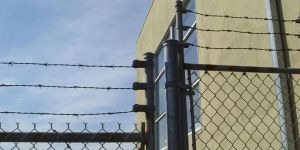 Barbed Wire