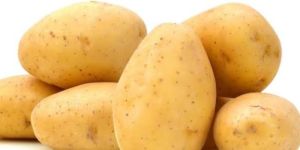 Fresh Potato