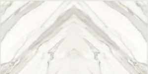 Texas White Porcelain Tiles