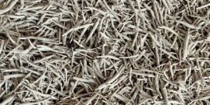 Dried Ashwagandha Root