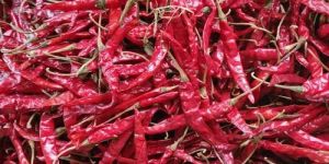 Teja Stemmed Dried Red Chilli