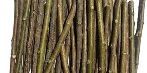 Neem Sticks