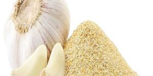 Dehydrated Garlic Powder