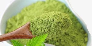Dehydrated Mint Leaves Powder