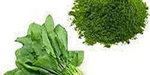 Dehydrated Spinach Powder