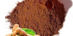 Dehydrated Tamarind Powder