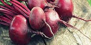 Fresh Beetroot