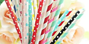 Paper Straws