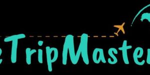 Best Travel Agency in Udaipur