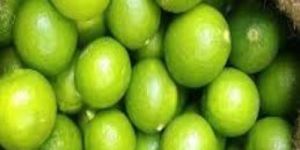 Natural Green Lemon