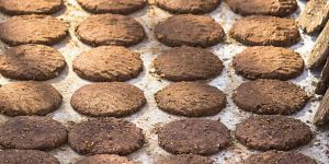 Cow Dung Cake