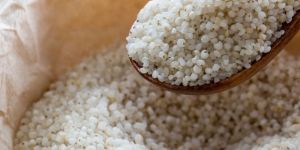 Little Millet (Samai)