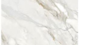 Calacatta Raffaello Gvt Tiles