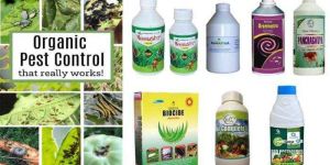Agricultural Pesticides