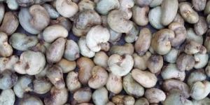 Raw Cashew Nuts