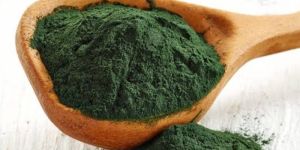 Organic Spirulina Powder