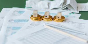 Income Tax Consultant