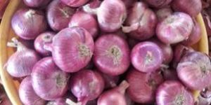 Fresh Garhwa Red Onion