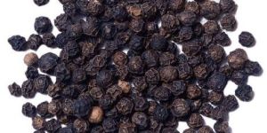 Black Pepper